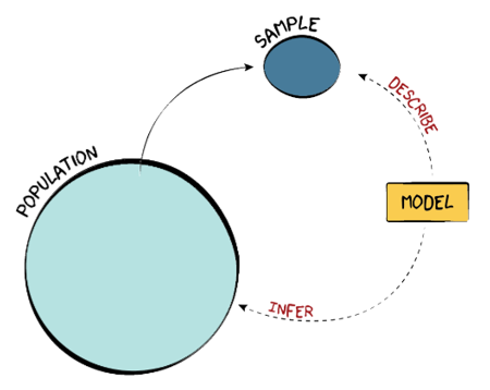 A sample is a part of a population. A model can be used to describe a sample or infer something about a population.