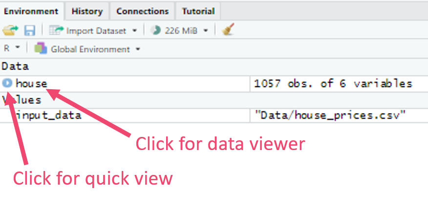 data viewing in the environment pane